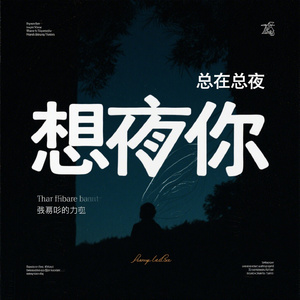 我总在夜里想你
