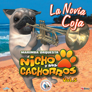 Mix Ranchicumbias 5: El Chofer / Millón de Primaveras / Estos Celos