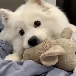 陈鸿宇-理想三旬（Twilight remix）