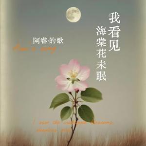 我看见海棠花未眠