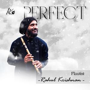 Perfect (Flute Version)