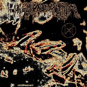 Warts
