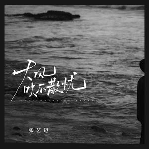 大风吹不散忧 (杯酒解不了愁)