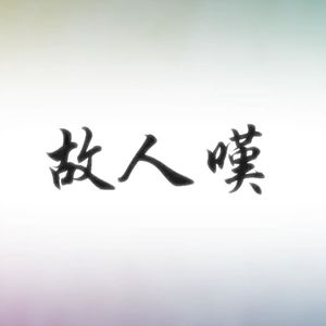 故人叹 with.兔兔猫