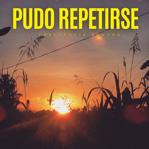 Pudo Repetirse