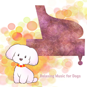 심리적 안정 (하프)