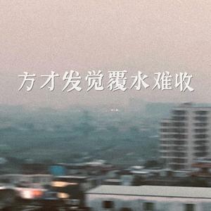 方才发觉覆水难收