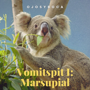 Despegue y Aterrizaje