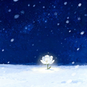 雪花(Blossom)