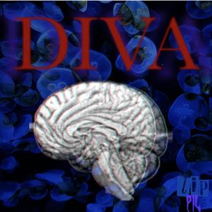 DIVA