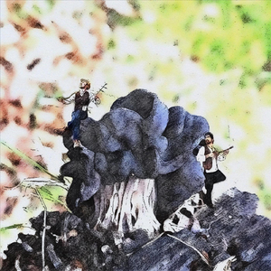 Moon weeps Stars - Elfin Saddle Op.No.1