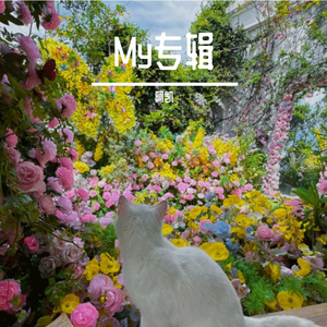 指纹落在船票褶皱处-整曲