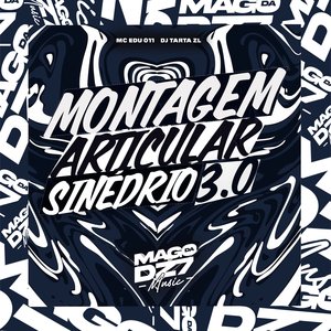 Montagem Articular Sinédrio 3.0