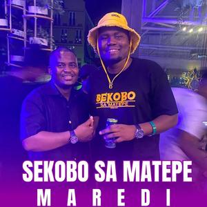 Mosadi Wo Mmotse SP (MAREDI)