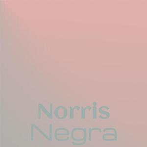 Phenylethylamine Seraphic