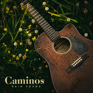 Caminos