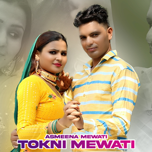 Tokni Mewati