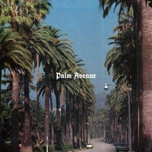 PALM AVENUE INTRO