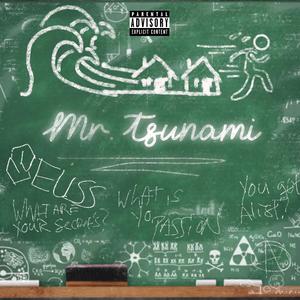Mr. TSUNAMI