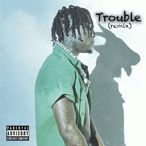 Trouble (Remix)