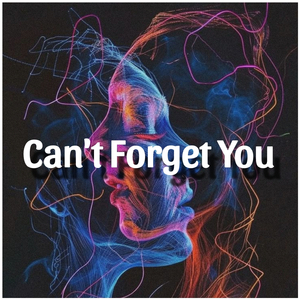 Can't Forget You