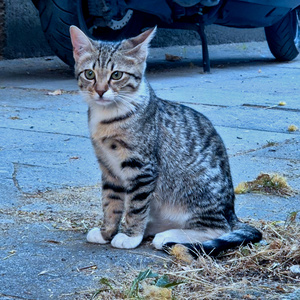 yippeeeeeeeeeeeeeeeeeeeeeeeeeeeeeeeeeeeeeeeeeeeeeeeeeeeeeeeeeeeee