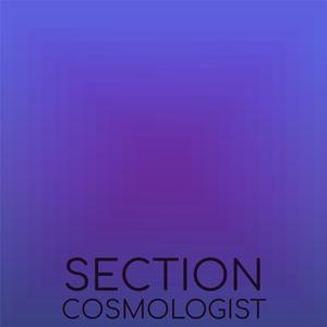 High-top Metatarsals