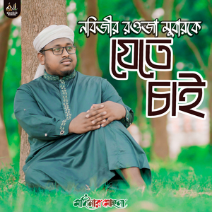 নবিজীর রওজা মুবারকে জেতে চাই