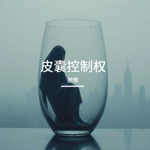 皮囊控制权