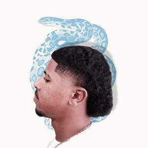 Show Me Don’t Tell Me