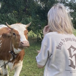 Будек забыл выложить приглос
