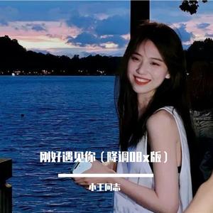 刚好遇见你（降调08x剪辑版）