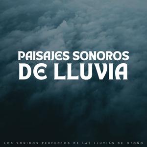 Lloviendo Junto A Los Árboles