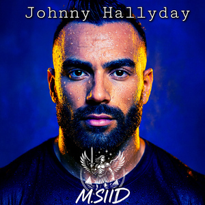 Johnny Hallyday (Medley)