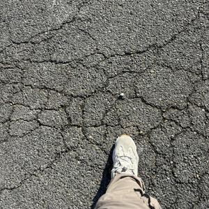 Dou Love The Scrippers