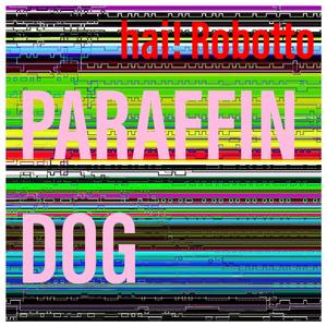 I Would Like a Pony and a Pony Canoe