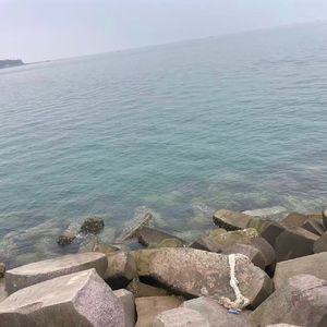 你会不会路过我的明天