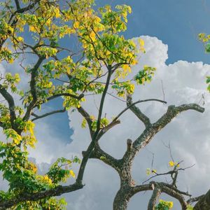 格式转换_不分手的恋爱