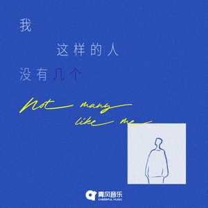 我这样的人没有几个