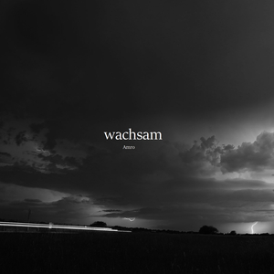 Wachsam