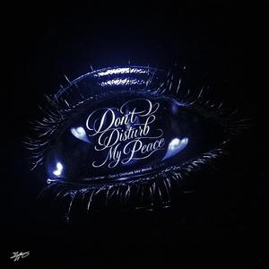 DON'T DISTRUB MY PEACE