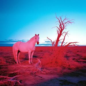 ACT (feat. Mogli the Iceburg)