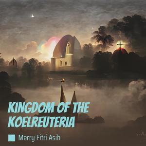 Kingdom of the Koelreuteria