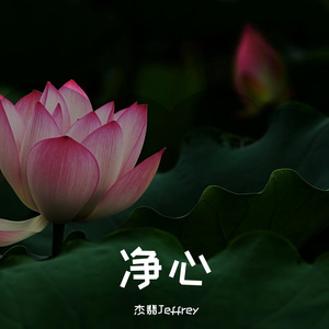 毗卢遮那佛大灌顶光真言（原创曲）