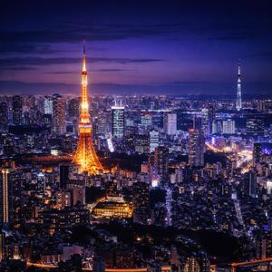 Tokyo Midnight Lights_2