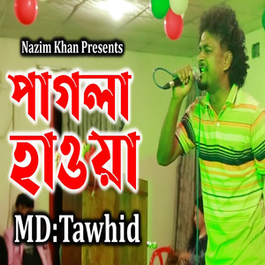 পাগলা হাওয়া