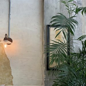 撕碎剧本重新活