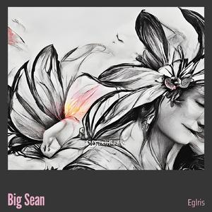 Big Sean