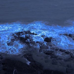 曾经的爱像一阵风.mp3