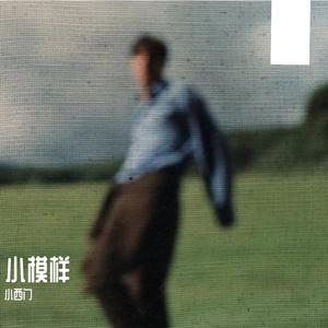 小模样（抖音热播）